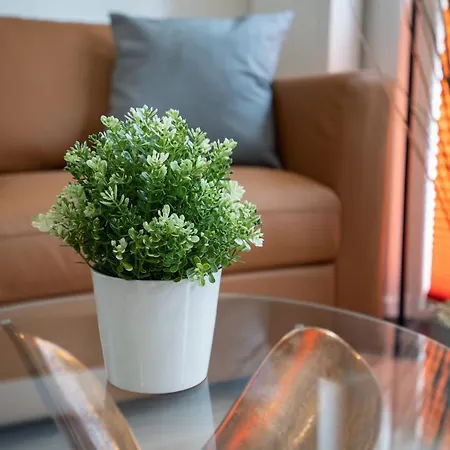 בית נופש Ostseecamp 